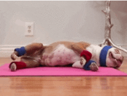 Allenamento a casa